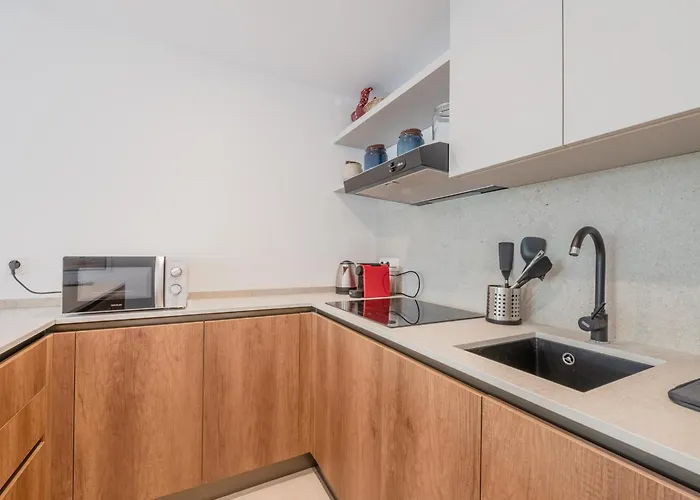 Appartement Moderne Avec Jardin, Terrasse, Parking Et Wifi à - Fr-1-343-267